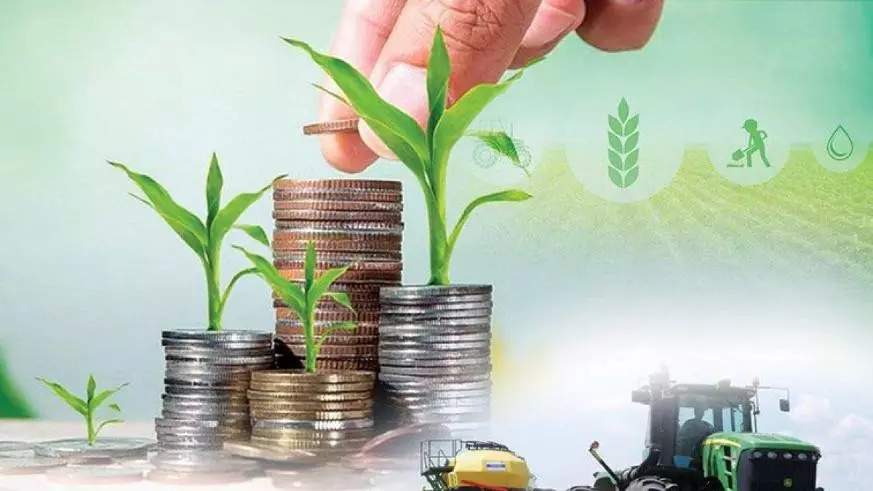 В Кокшетау по делу о краже госсубсидий арестованы 6 участков, 4 квартиры и  11 авто