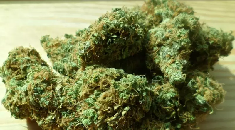 У сотрудника погранслужбы КНБ нашли марихуану в сапоге