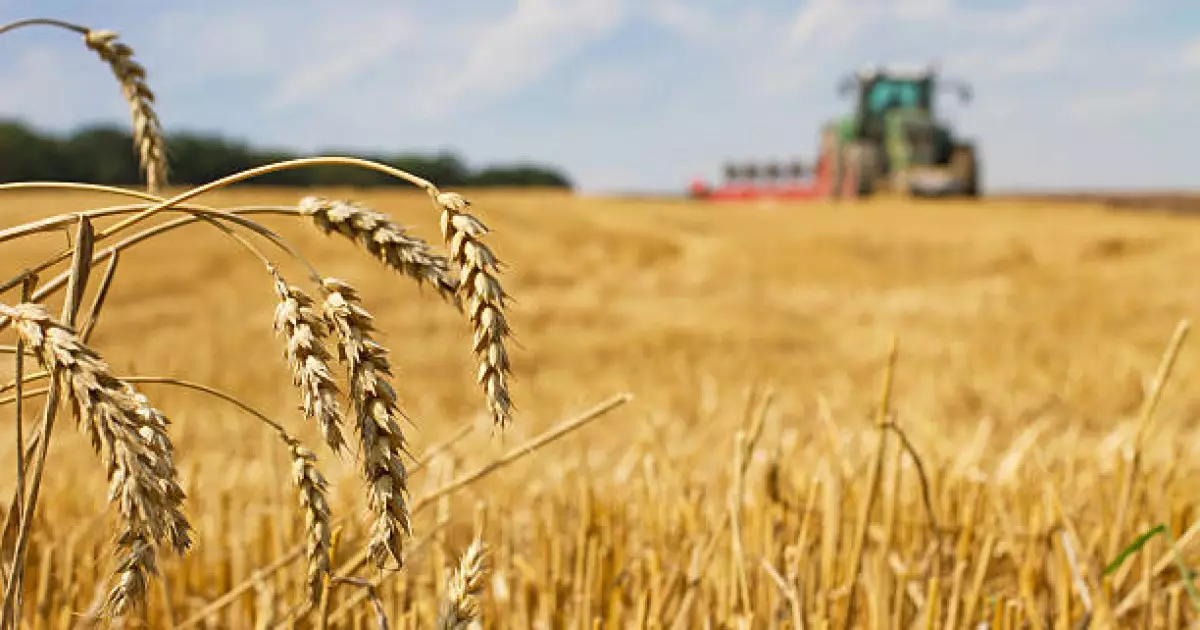   Көктемгі егін егу және жинау жұмыстарын жүргізуге 700 миллиард теңге беріледі   