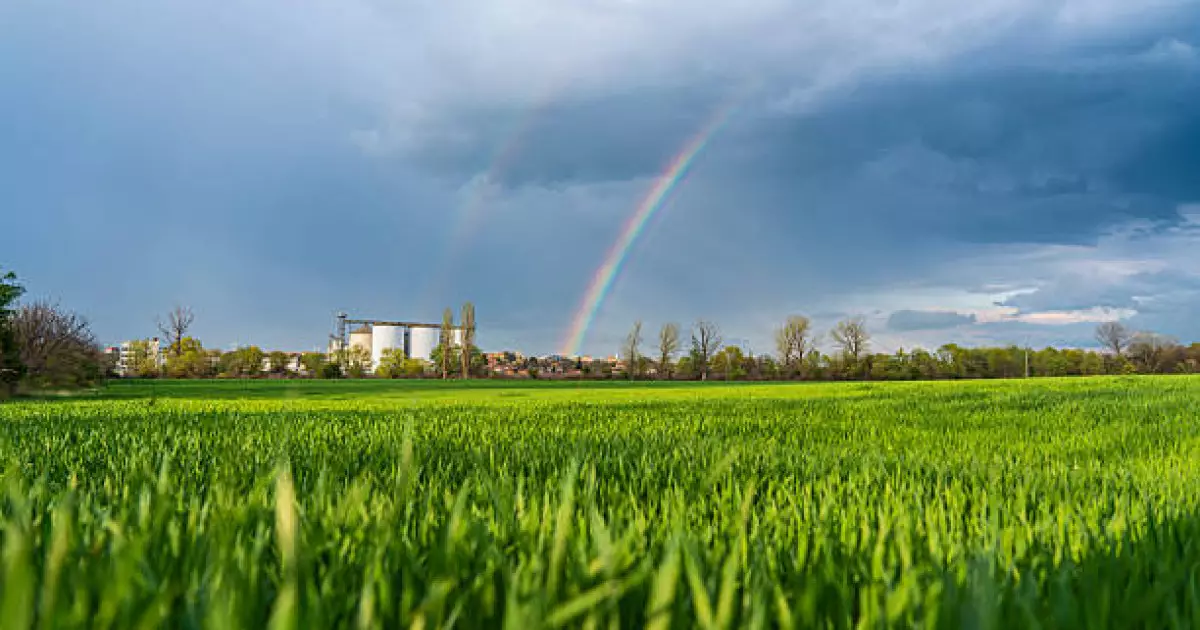   Көкшетауда 152 миллион теңге көлеміндегі агросубсидияны заңсыз алғандар сотталды   