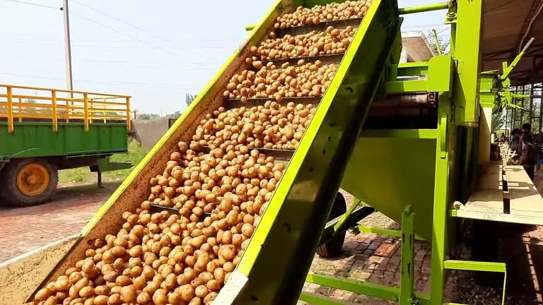 Минсельхоз РК опроверг фейк о перевозке в вагонах мяса вместо картофеля