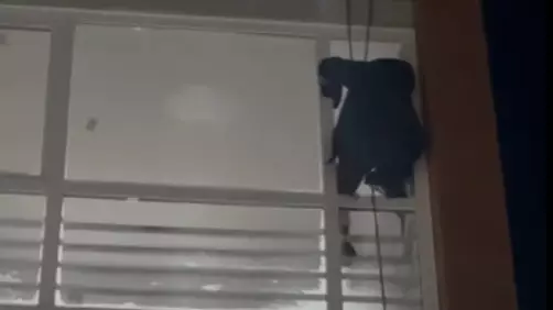 Шымкентте балкон жөндеп жатқан жұмысшы 5-ші қабаттан құлап, қаза тапты