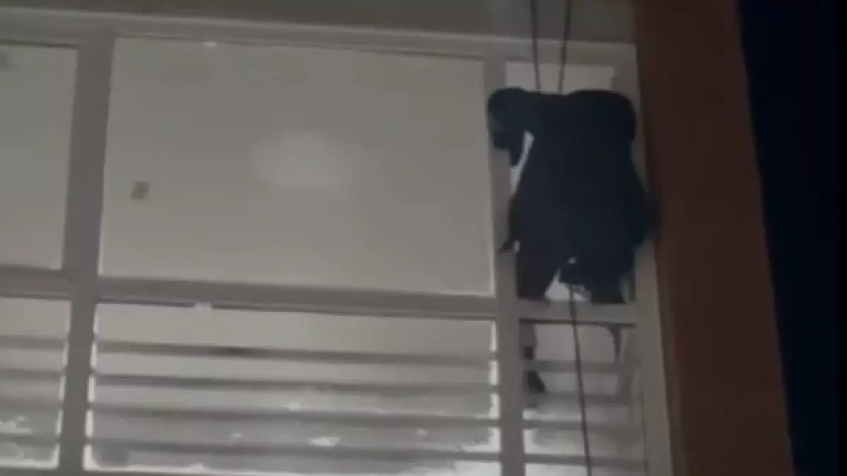 Шымкентте жұмысшы 5-ші қабаттан құлап, қаза тапты