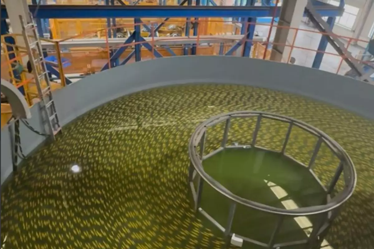 Прокладка кабеля по дну Каспия: Багдат Мусин рассказал о ходе проекта