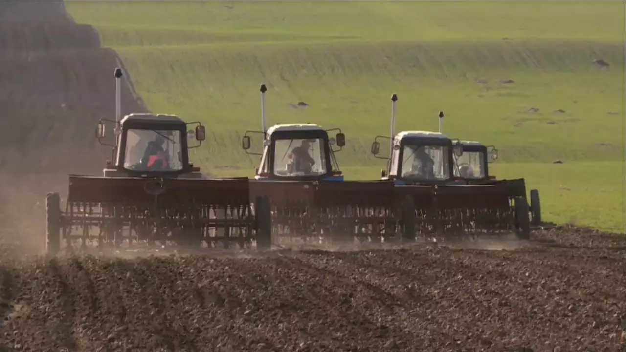 Биыл 23,8 млн гектар жерге егін егіледі