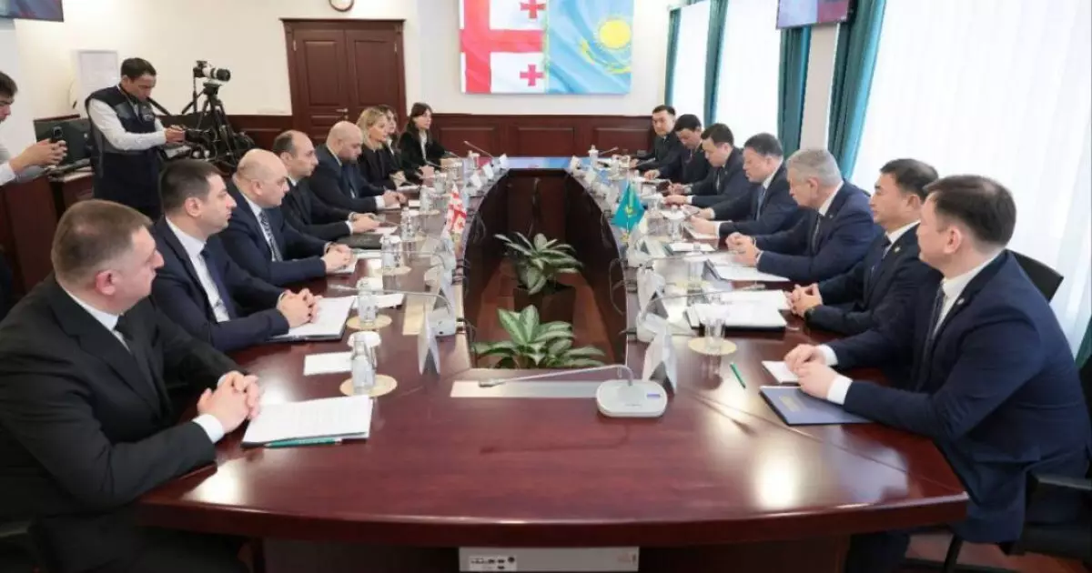  Қазақстан мен Грузия ішкі істер министрлері Астанада кездесті 