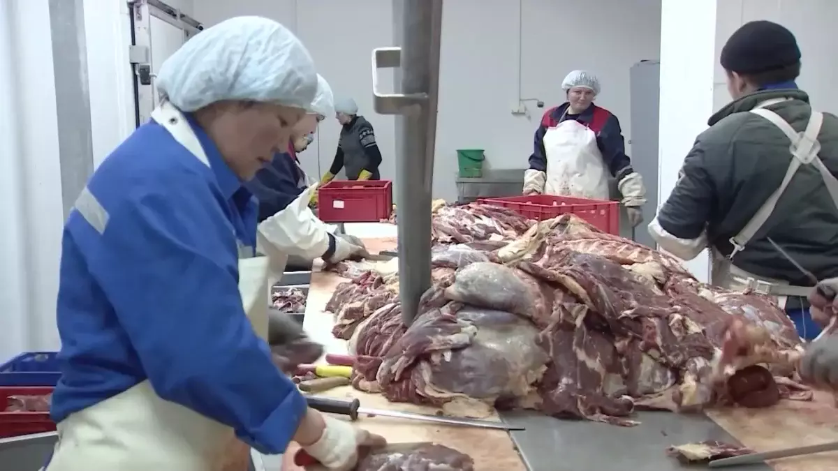 Сиыр еті картоп ретінде экспортталды деген ақпарат жалған - министр мәлімдемесі