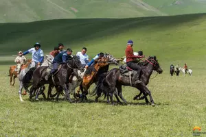 Весна в сердце Евразии: цветущие традиции Казахстана