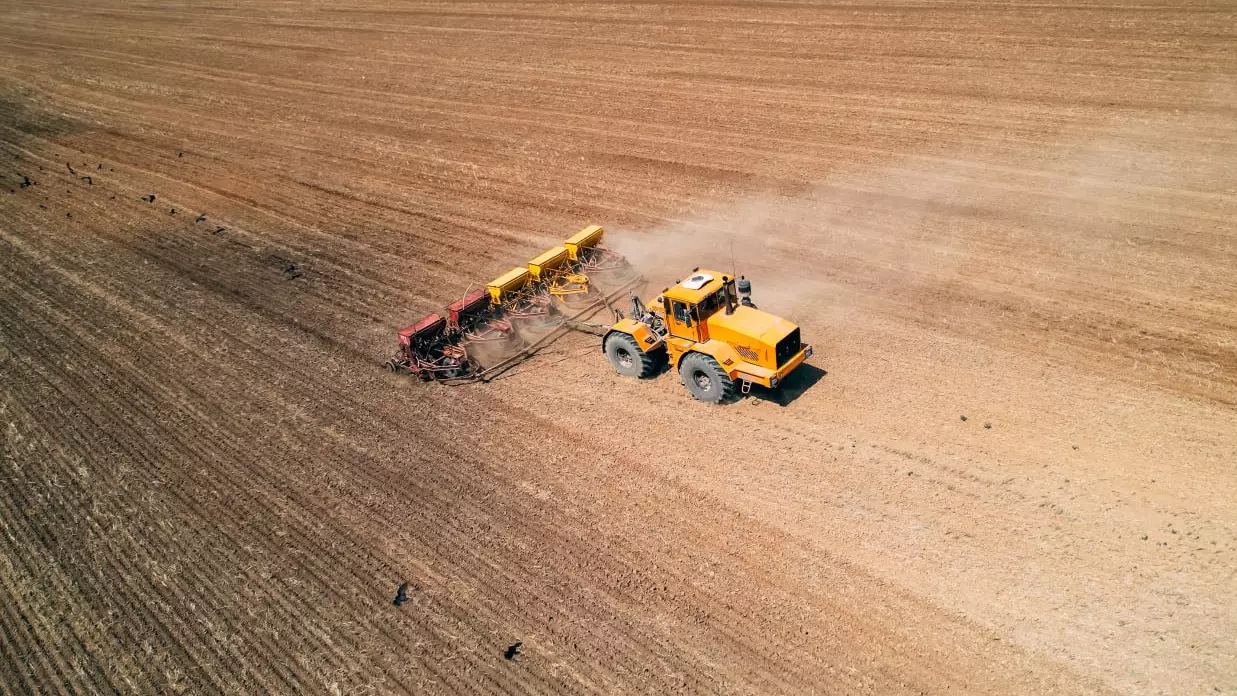 Қазақстанда отандық тұқымның жаңа сорттарының саны 3 есеге артты