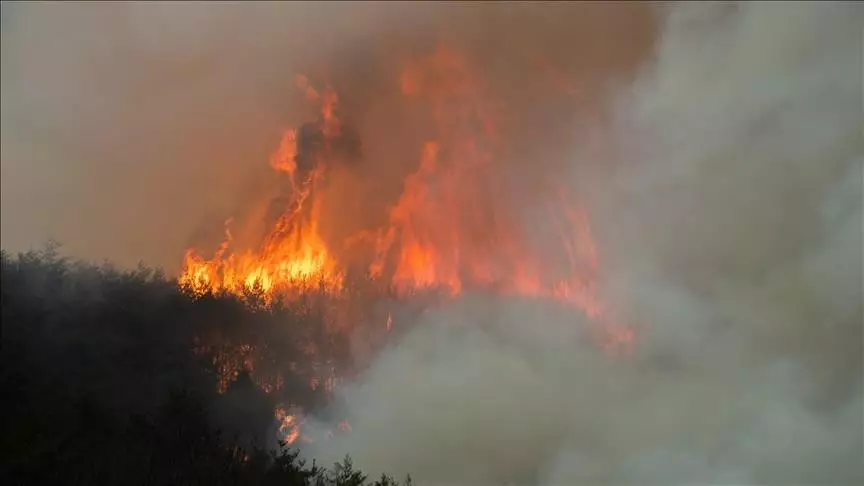 В Южной Корее второй день тушат крупный лесной пожар