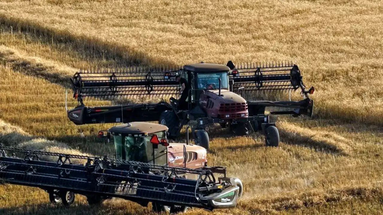 В Казахстане утроилось количество новых отечественных сортов семян.