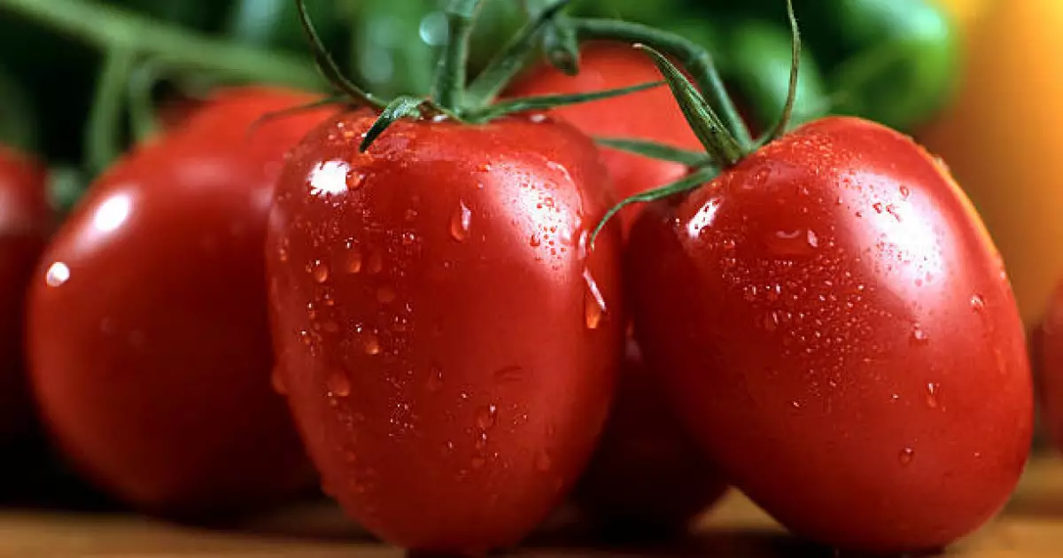  Қытай ғарышта қызанақ өсіріп, мол өнім алды 