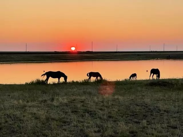 Деловой круглый стол по Казахстану прошел в Магдебурге.