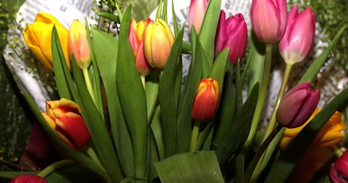  8 наурыз қарсаңында қазақстандықтарға ескерту жасалды 