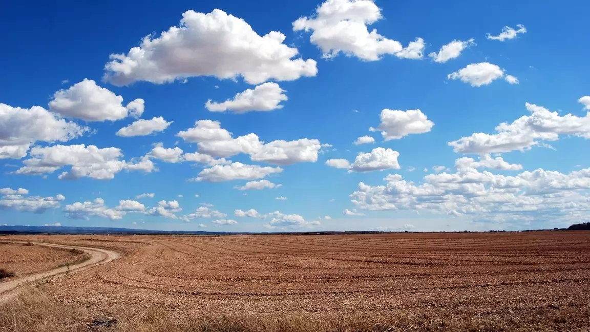 Алматы облысында қытайлықтарға жер сату туралы әкімдік түсініктеме берді