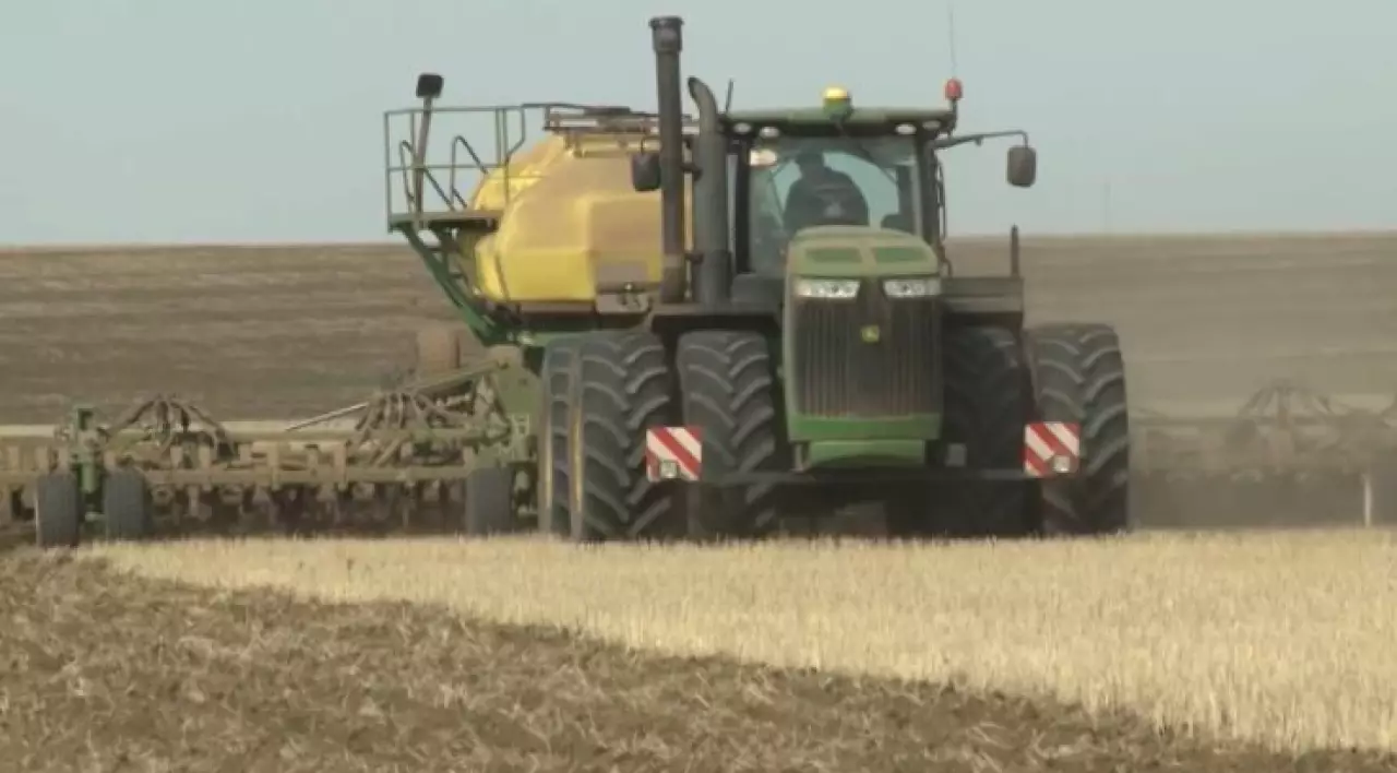 23,8 млн гектаров засеют казахстанские аграрии в этом году