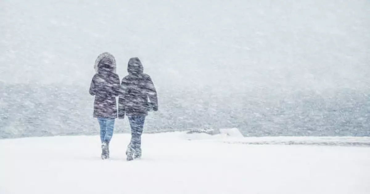   Тұман, көктайғақ болады: 25 ақпанға ауа райы болжамы   