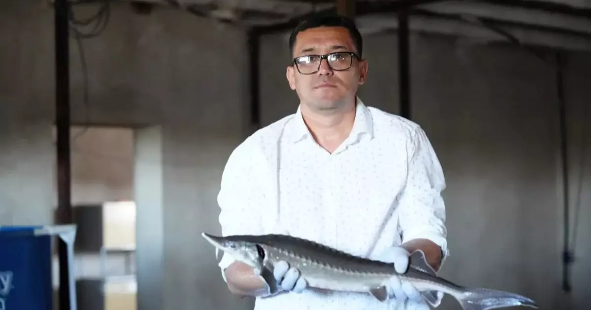   «Ауыл аманаты»: Қызылордалық кәсіпкер заманауи технологиямен ауылда балық өсіріп отыр   