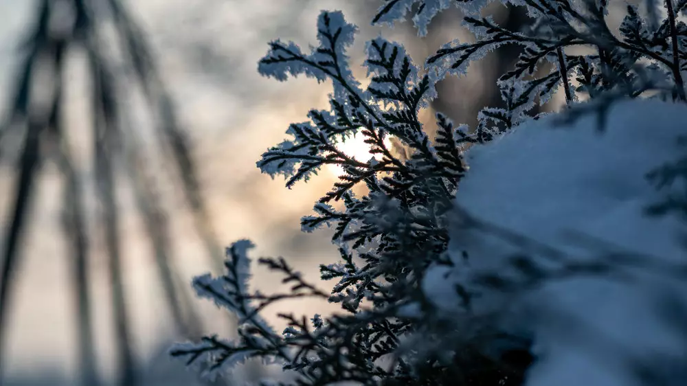 Қазақстанның үш қаласында ауа сапасы нашарлайтыны ескертілді
