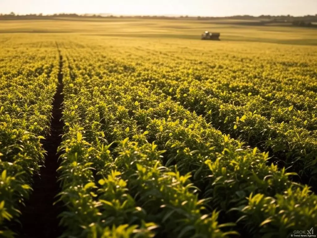 Туркестанская область Казахстана увеличила посевные площади для весенних полевых работ.