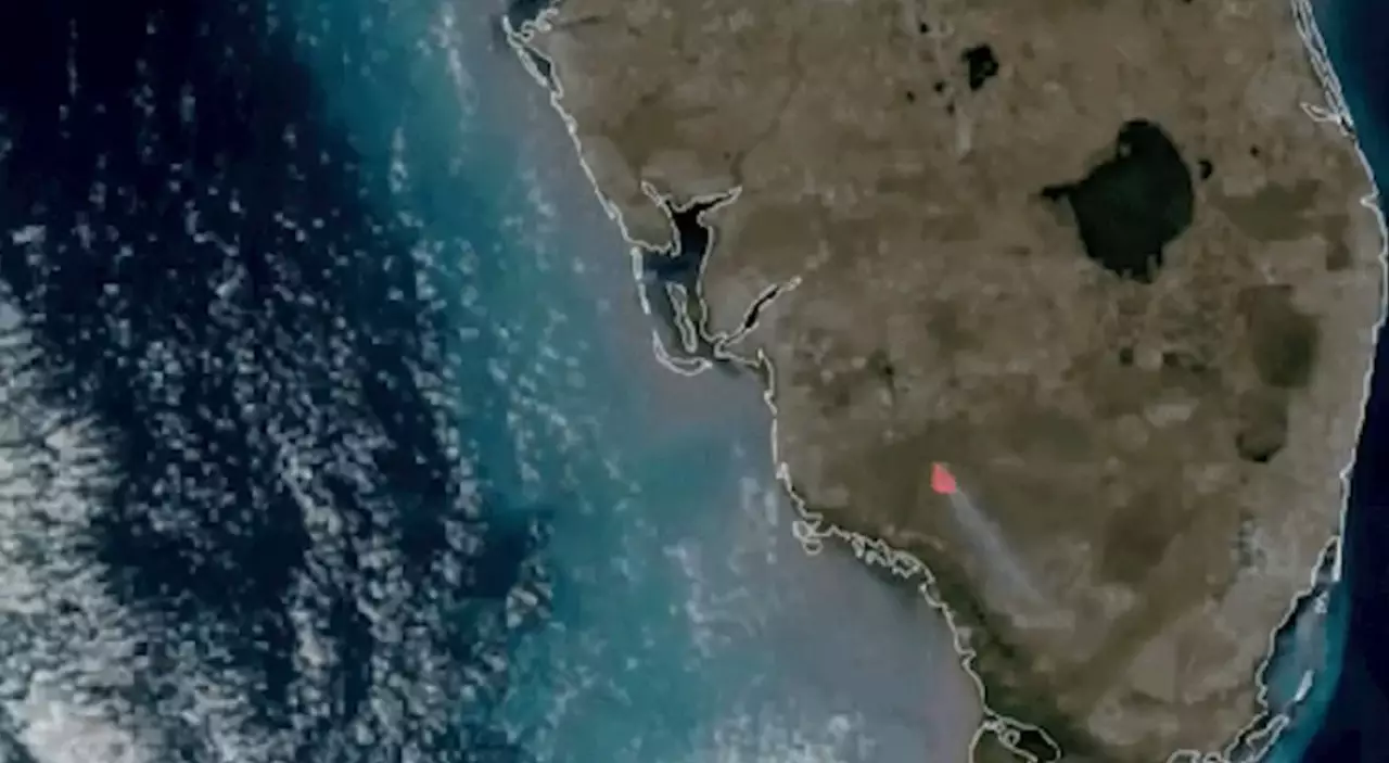 Флориданың оңтүстігінде қорықты өрт шалды