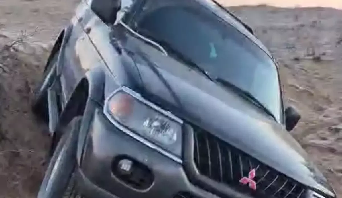 Шетелде бес есе қымбат: ителгіні шекарадан өткізбек болған браконьерлер ұсталды