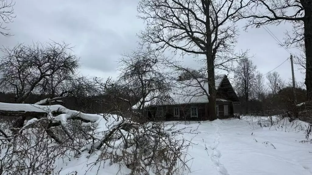 Беларусьте тұтас бір ауыл 5 млн теңгеге сатылымға шығарылды