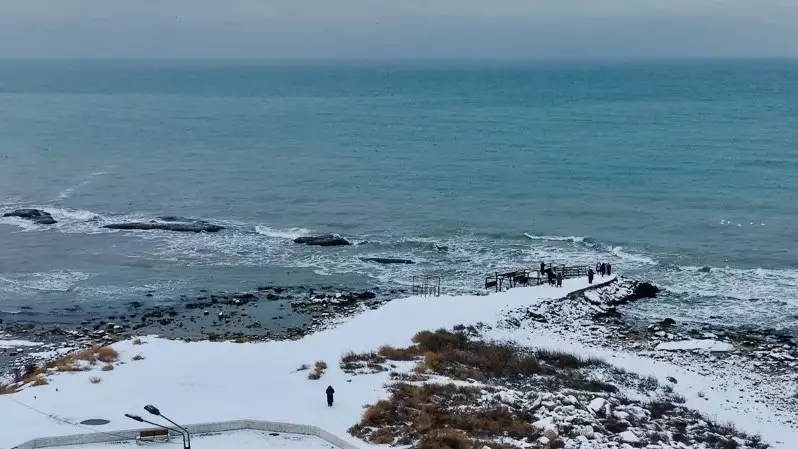 Правительство выделило 1,1 млрд тенге на сохранение Каспийского моря