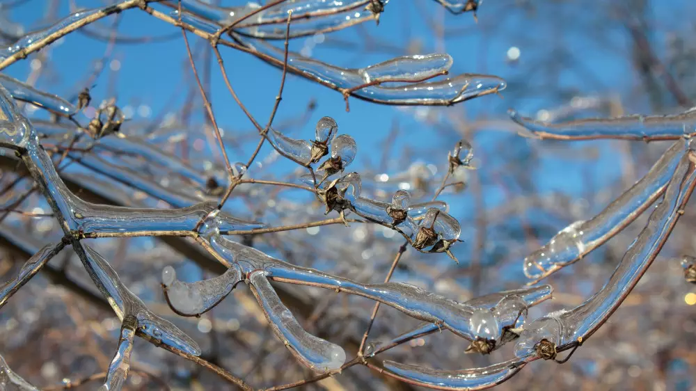 Морозный удар по Астане и ледяной дождь в Алматы — прогноз на 3 дня