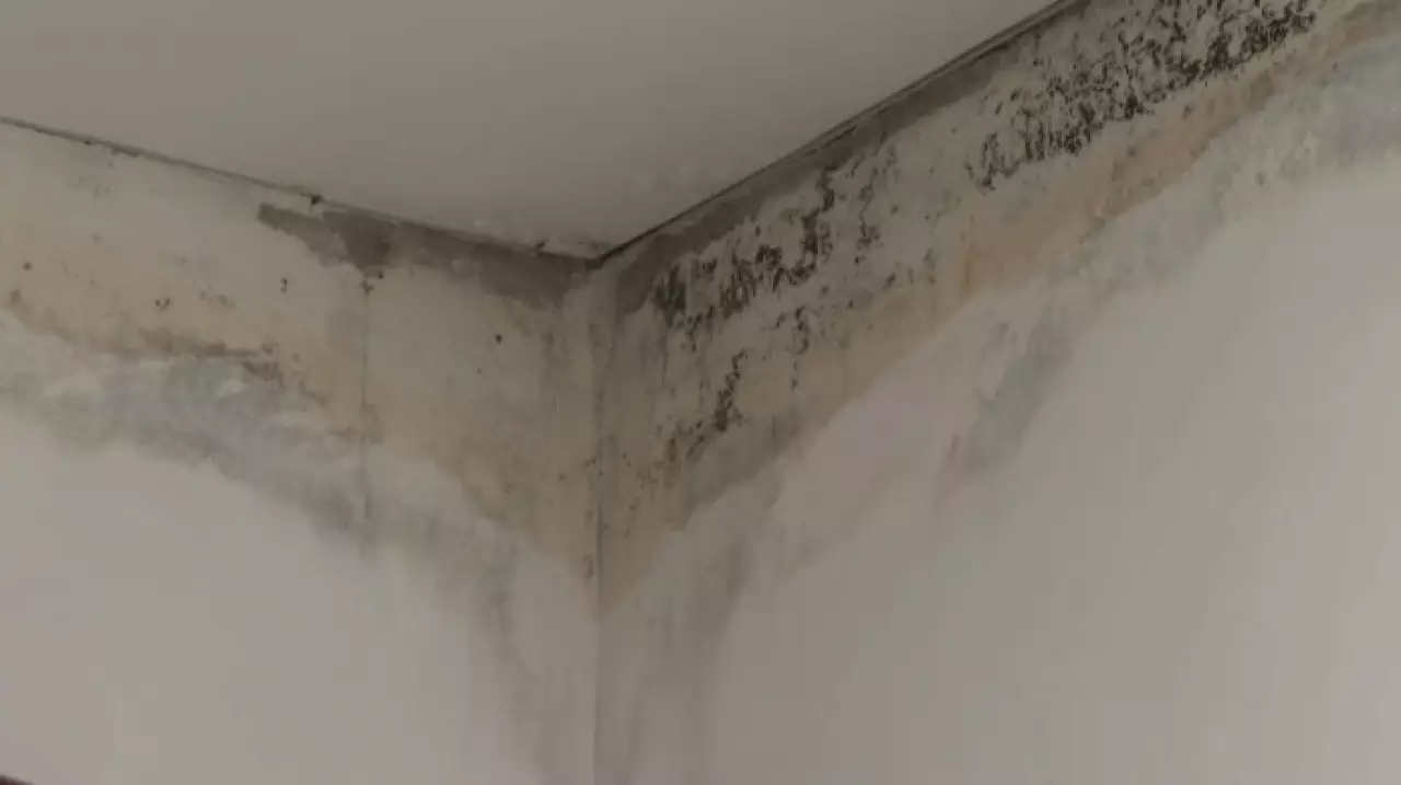 Арендное жилье с дефектами предоставили многодетным семьям