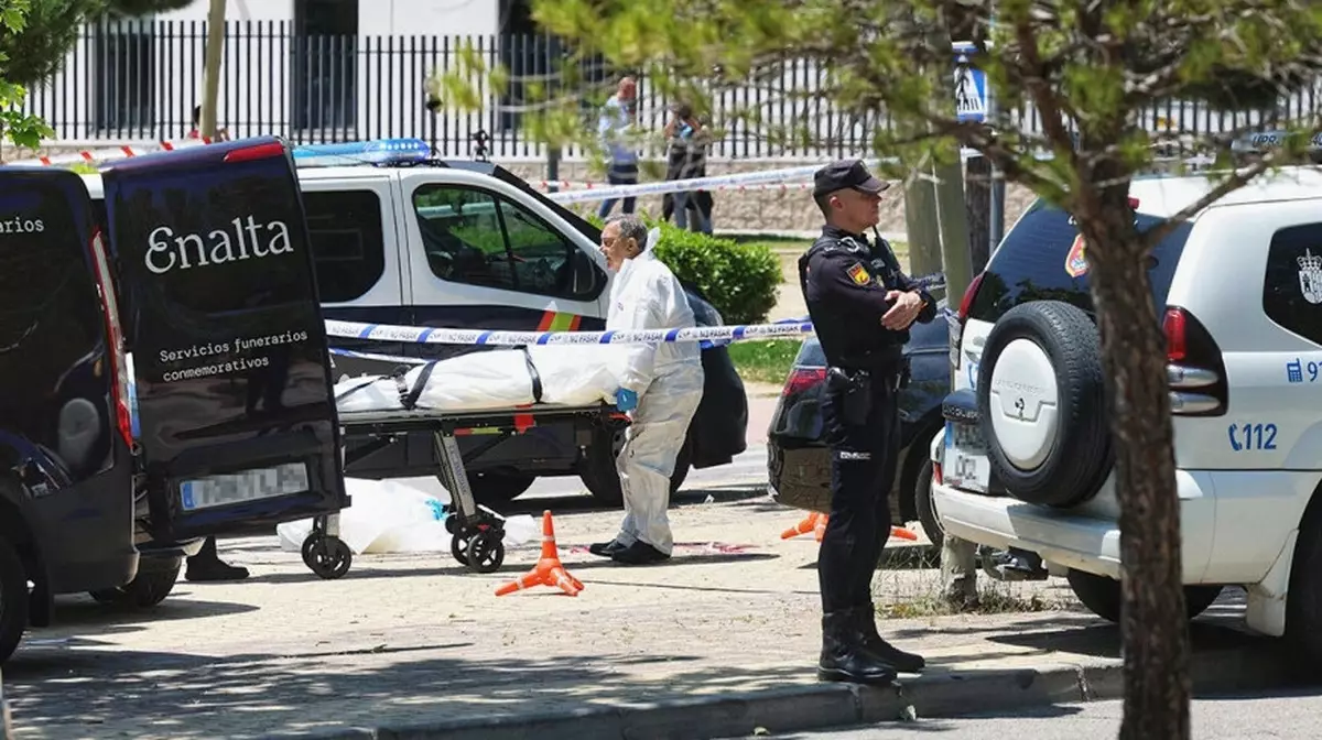 В Германии задержали подозреваемого в убийстве экс-замглавы администрации Януковича