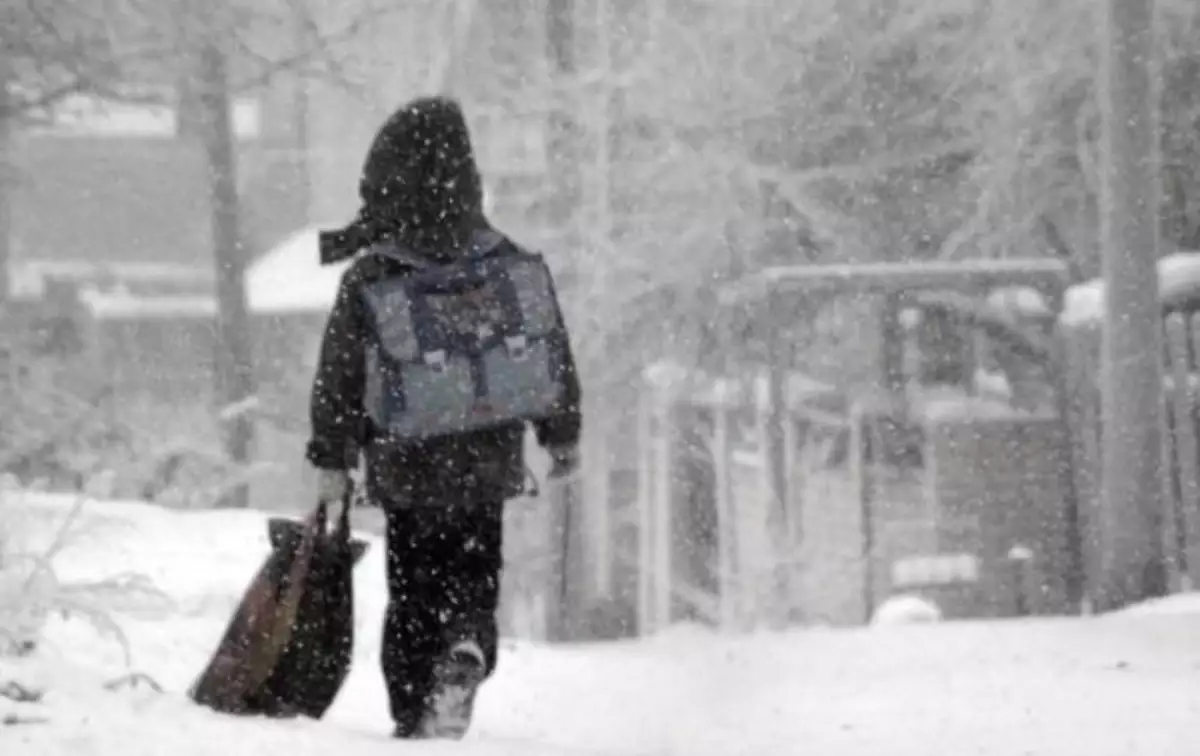 Қазақстанның бірнеше өңірінде мектеп оқушылары қашықтан оқуға көшірілді