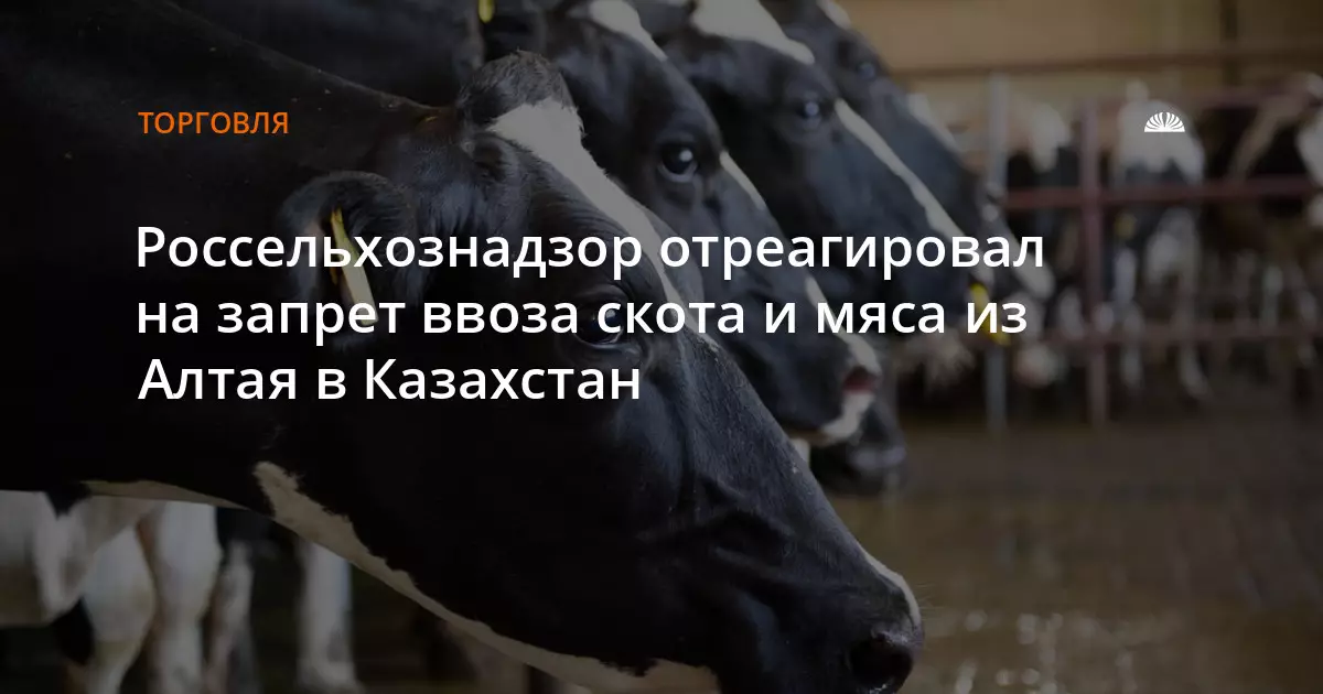 Казахстан запретил ввоз скота и мяса из Алтайского края.