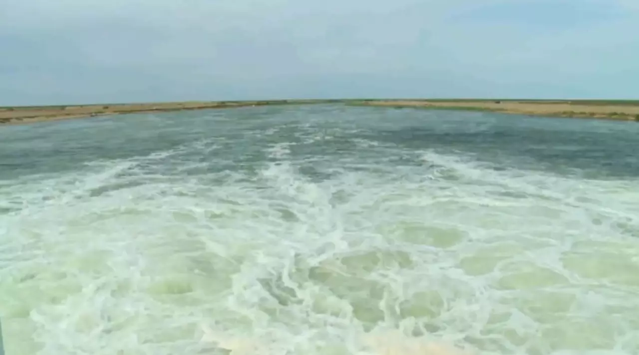 Орталық Азияда құрғақшылық қаупі жоғары  