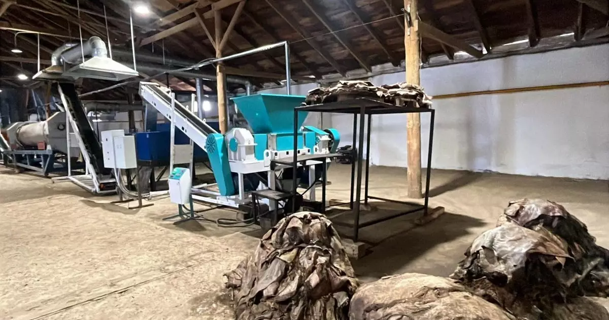  Батыс Қазақстанда тері өңдейтін зауыт іске қосылды 