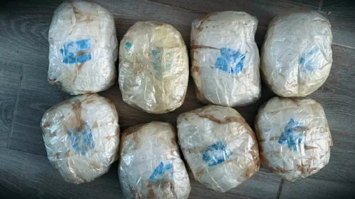 ҰҚК халықаралық есірткі арнасын әшкереледі