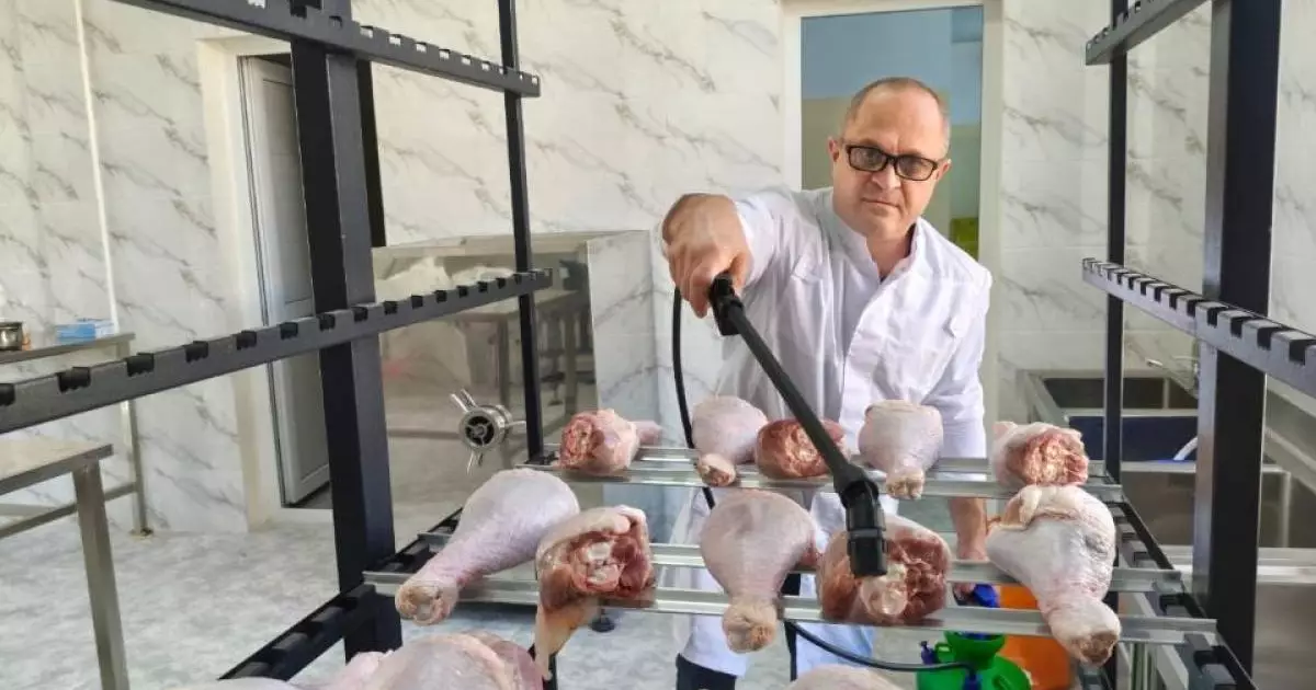  Ғалымдар салқындатылған құс етінің сақтау мерзімін 3 есеге дейін ұзартатын технология әзірледі 