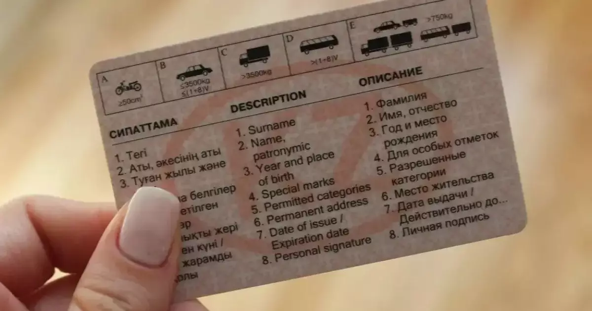  Қазақстандықтар жүргізуші куәлігін онлайн ауыстыра алады: нені білу керек? 