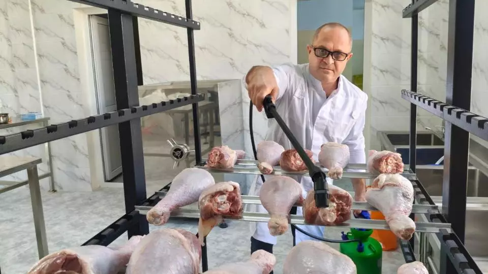 Казахстанские ученые разработали технологию по увеличению срока хранения птицы