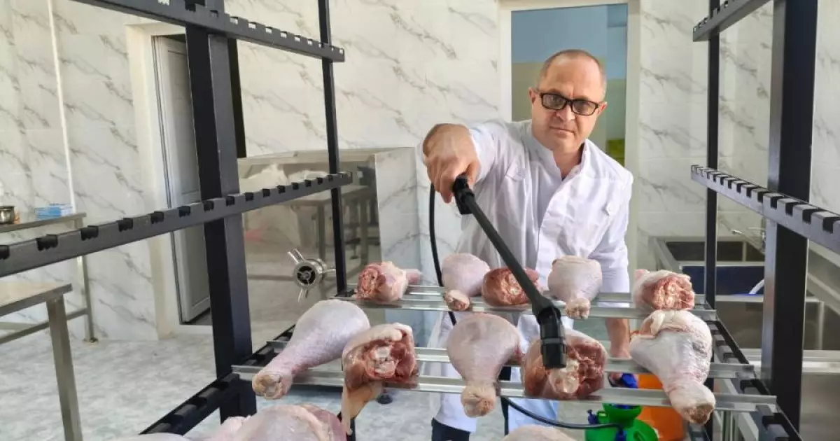   Ғалымдар салқындатылған құс етінің сақтау мерзімін 3 есеге дейін ұзартатын технология әзірледі   