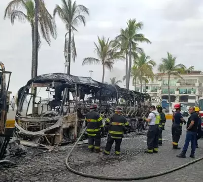 Ликвидирован Эль Тули: в Мексике убит ближайший соратник крупнейшего наркокартеля