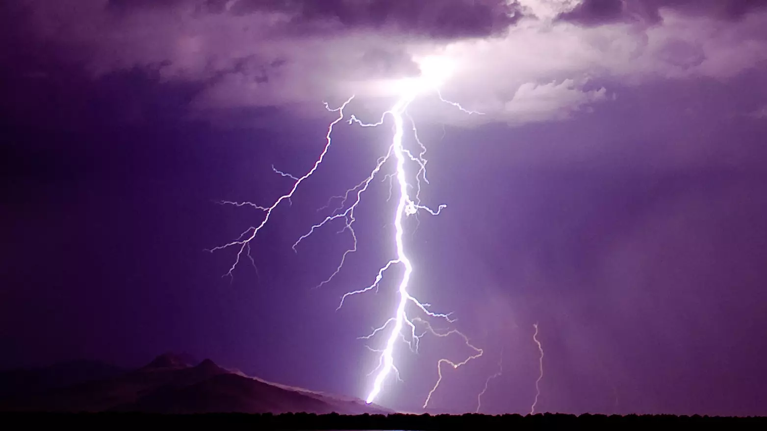 Казахстан вводит новые обязанности по отчётности для владельцев интернет-платформ