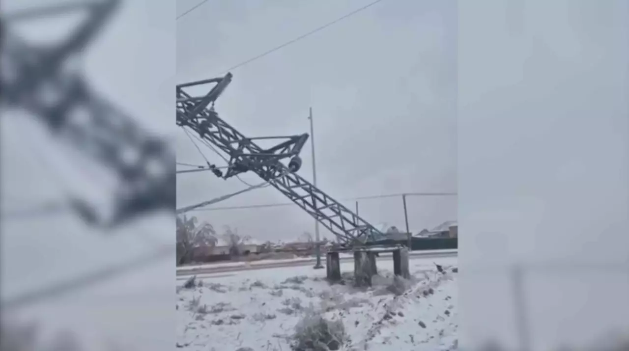 Қызылордада қала көшелері көктайғаққа айналды 