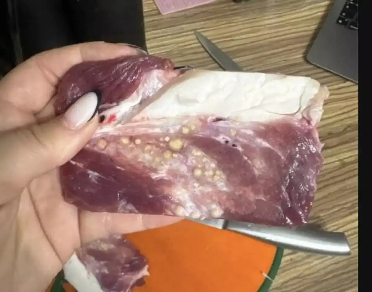 «Мұндай өзгеріс сау мал етінде болмайды»: қазақстандық Baron Food өнімінен күмәнді етті көрсетті