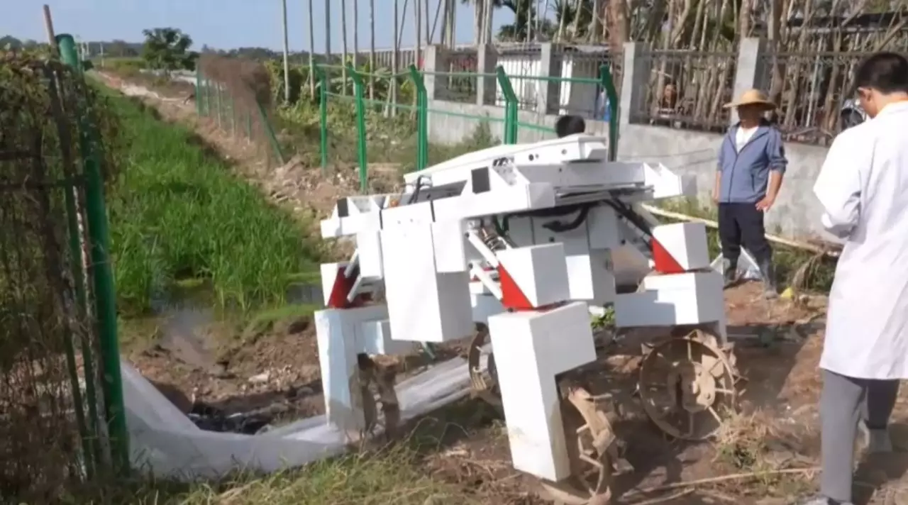 Қытайда сұрыптау ісіне жи қолданылады