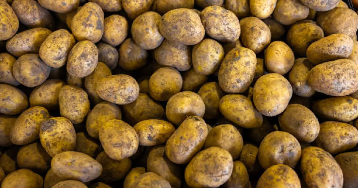  Жаңаөзенде картопты қымбат бағамен сатқан 