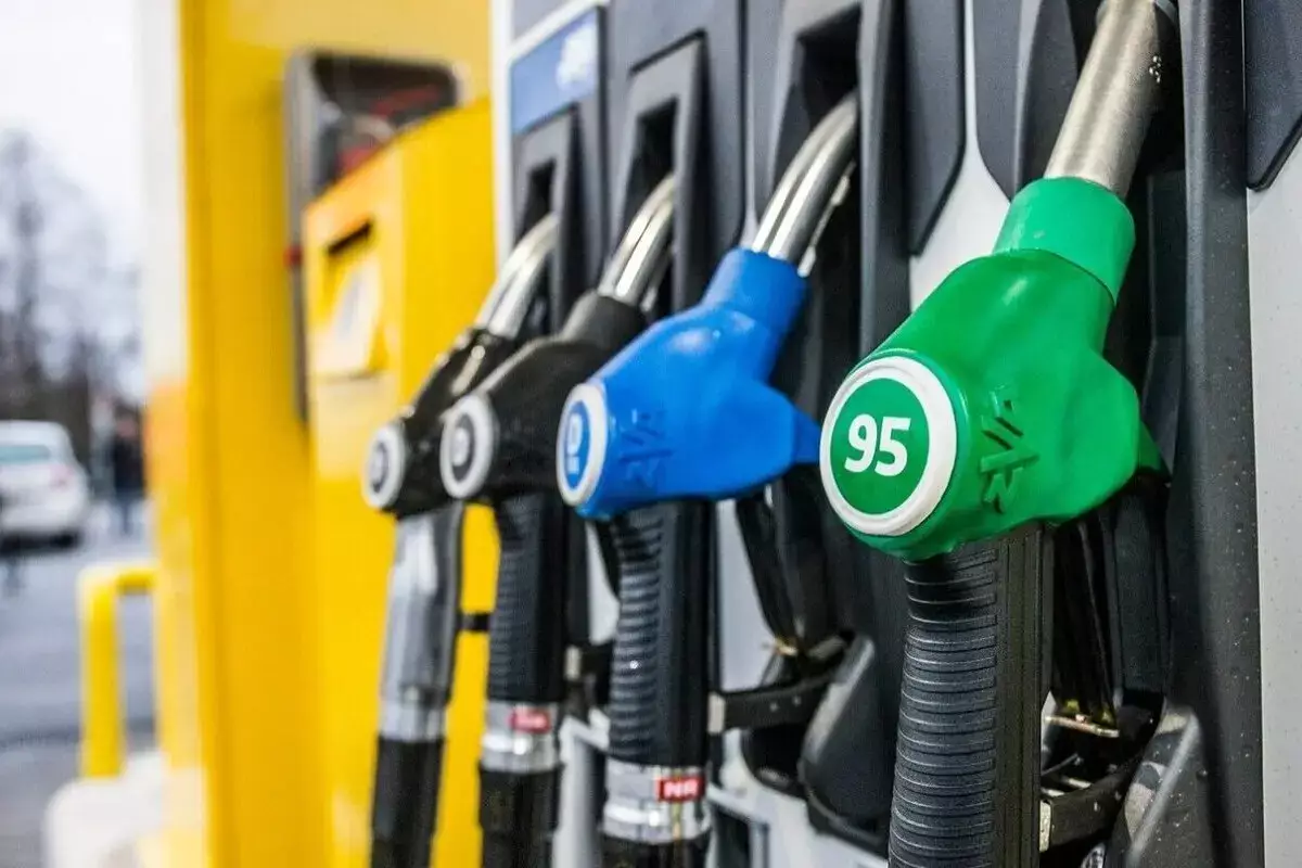 Афганский аппетит и узбекский транзит: куда уходит народное достояние Казахстана - новости на Lada.kz 26.02.2026