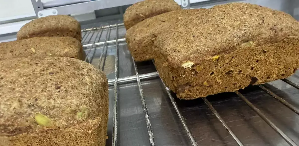 Разработанный учащимися колледжа туризма Мангистау хлеб из зеленой гречки будет представлен на Master Skills - новости на Lada.kz 26.02.2026