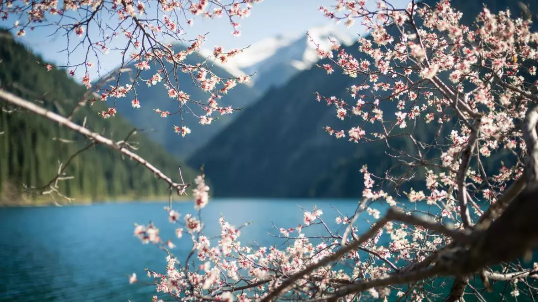 Казахстан приблизился к топ-50 стран по развитию туризма