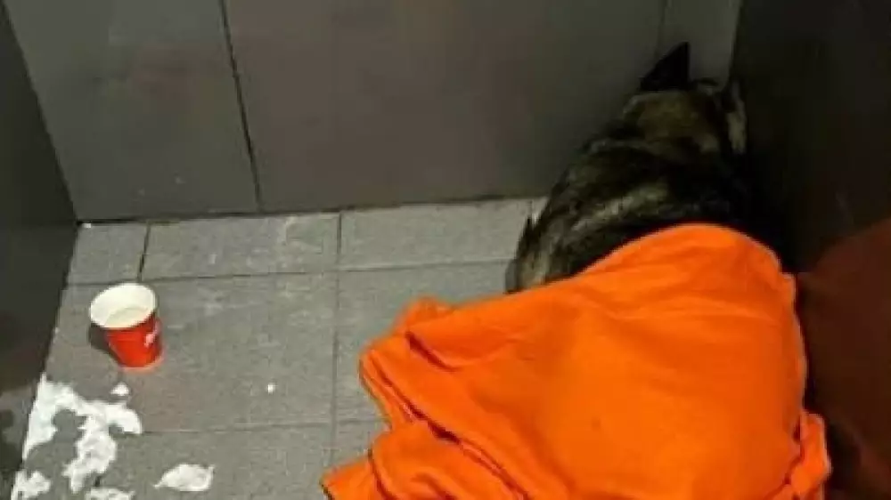 Скандал с “Додо Пиццей“ получил продолжение